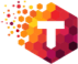 TeamHive Logo